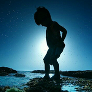 ydxred的个人资料头像