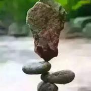 13194391248的个人资料头像