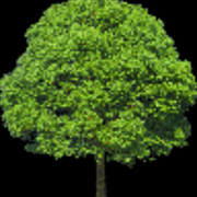 json1195的个人资料头像