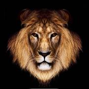 郑明君的个人资料头像