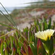 轩辕小羽零的个人资料头像