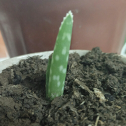 any18908的个人资料头像