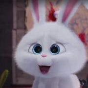 资深bug创意工程师的个人资料头像