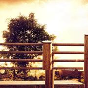 xc_alan的个人资料头像