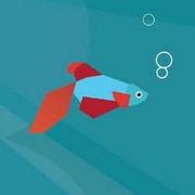 Python1464950005000的个人资料头像