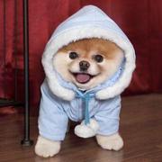 Tab1465919251000的个人资料头像