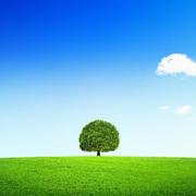 xucz1466255189523的个人资料头像