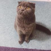 黑白之上的个人资料头像