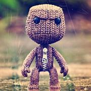 美乃滋大人的个人资料头像