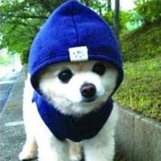 1467618668000的个人资料头像