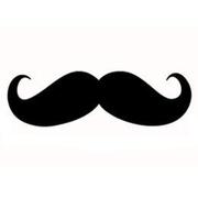 AS5155的个人资料头像