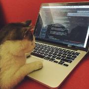 exodia的个人资料头像