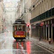 jinn的个人资料头像