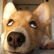 arriewang的个人资料头像