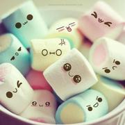 afei1469156642000的个人资料头像