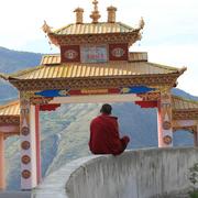 大尾巴鱼的个人资料头像