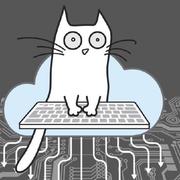 Ginger_CJ的个人资料头像