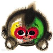 uevol的个人资料头像