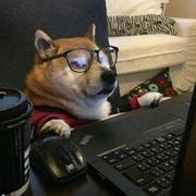 守繁华耐孤独的个人资料头像