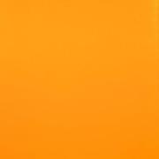 Ervine的个人资料头像