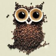 睡着的咖啡豆zZ的个人资料头像