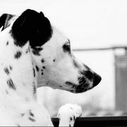 Illusion7740的个人资料头像