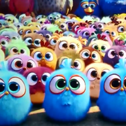 ShuHai的个人资料头像