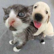 illusion8158的个人资料头像