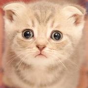 今天也想暴富的若心的个人资料头像