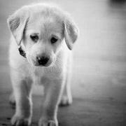 alighters1472188588000的个人资料头像