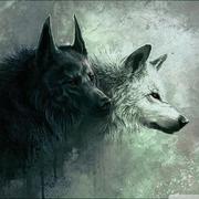 TySang的个人资料头像