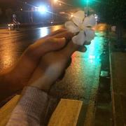 30度的射线的个人资料头像