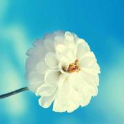 philadeplhia的个人资料头像