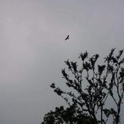 万兔碎佛的个人资料头像