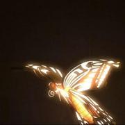 addamx的个人资料头像