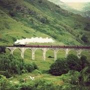 niceduang的个人资料头像