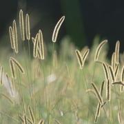 Potato_lin的个人资料头像