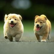 slowlyboy的个人资料头像