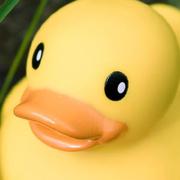 huangfucong的个人资料头像