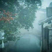 jingpeicomp的个人资料头像