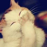 Elena1478334393000的个人资料头像