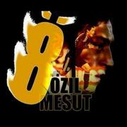 icapk的个人资料头像