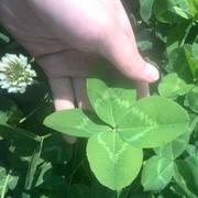 HutCwp12430的个人资料头像