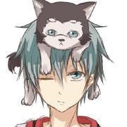 shibobo的个人资料头像