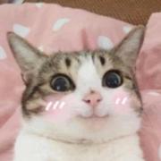 钱维银的个人资料头像