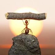 ambitionG的个人资料头像