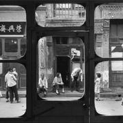 menduo的个人资料头像