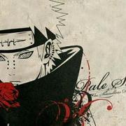 IronXK的个人资料头像