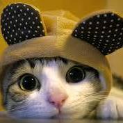 Jieth的个人资料头像