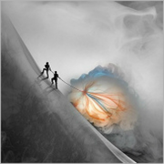 Melse的个人资料头像